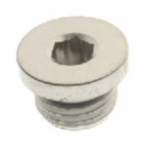 16206 - ISO G - Plug with flange - int hex